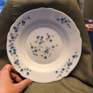 Charming Blue Floral Dinner Plate
